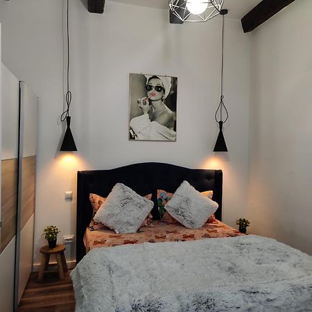 New Residence Брашов Екстериор снимка
